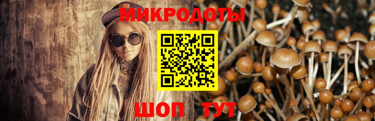 Галлюциногенные грибы Cubensis Корсаков