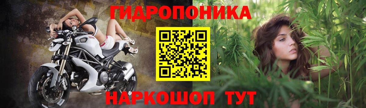 Марихуана план  Марихуана тримм  Вход с VPN  Конопля VHQ  Корсаков 